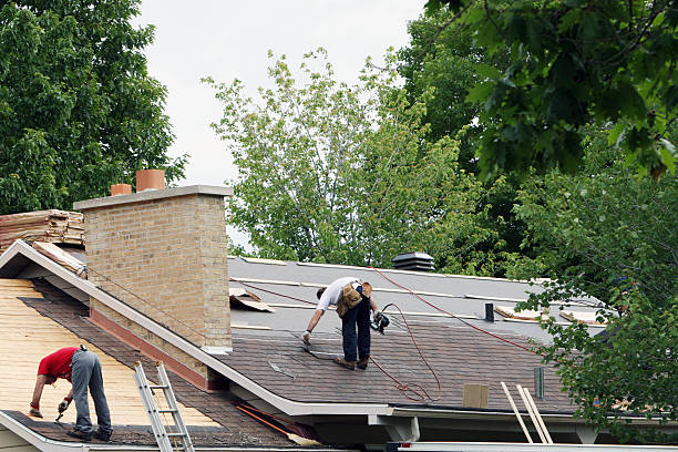 Best Chimney Flashing Repair  in Highland Park, MI