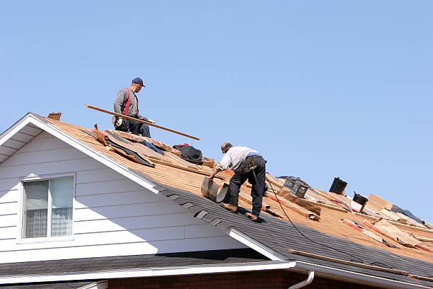 Best Storm Damage Roof Repair  in Highland Park, MI
