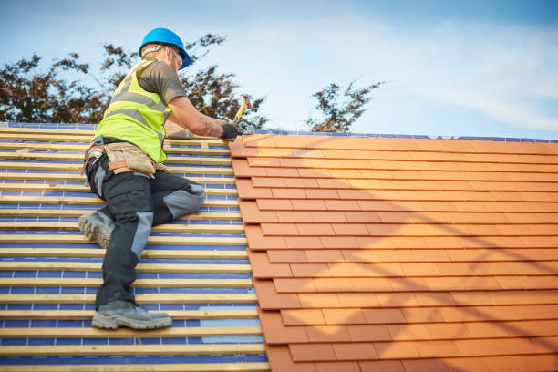 Best Skylight Installation and Repair  in Highland Park, MI